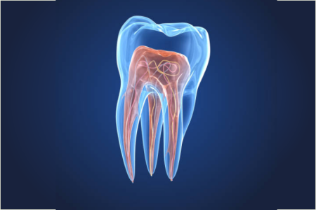 clinicasorriso endodonzia
